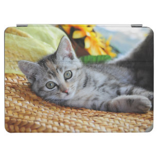 Niedliche Kleintiere   Kitten Lounges iPad Air Hülle