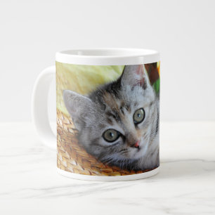 Niedliche Kleintiere   Kitten Lounges Jumbo-Tasse