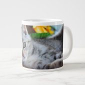 Niedliche Kleintiere | Kitten Lounges Jumbo-Tasse (Vorderseite Rechts)