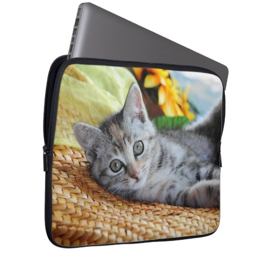 Niedliche Kleintiere | Kitten Lounges Laptopschutzhülle (Vorne Rechts)