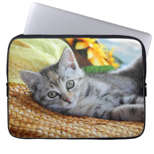 Niedliche Kleintiere   Kitten Lounges Laptopschutzhülle