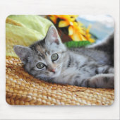 Niedliche Kleintiere | Kitten Lounges Mousepad (Vorne)