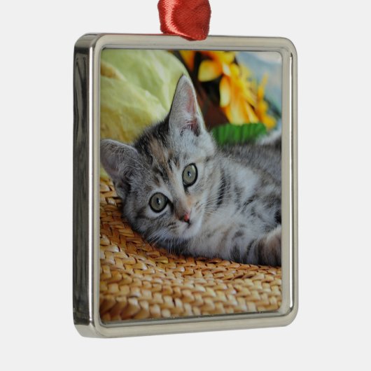 Niedliche Kleintiere | Kitten Lounges Ornament Aus Metall (Rechts)