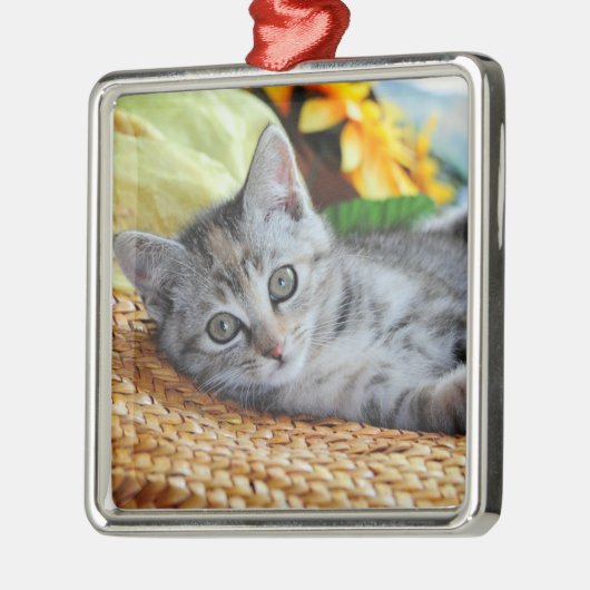 Niedliche Kleintiere | Kitten Lounges Ornament Aus Metall (Links)