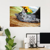 Niedliche Kleintiere | Kitten Lounges Poster (Heimbüro)