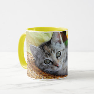 Niedliche Kleintiere Kitten Lounges Tasse