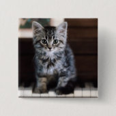 Niedliche Kleintiere | Kitten on Piano Keys Button (Vorderseite)
