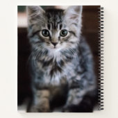 Niedliche Kleintiere | Kitten on Piano Keys Notizblock (Rückseite)