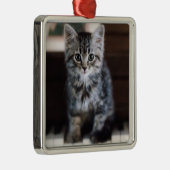 Niedliche Kleintiere | Kitten on Piano Keys Ornament Aus Metall (Rechts)