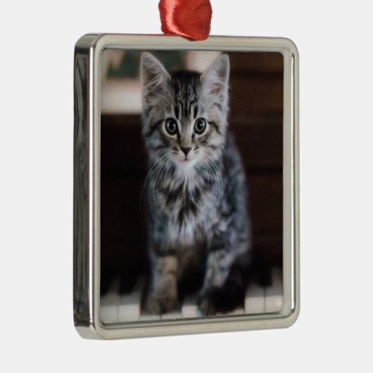Niedliche Kleintiere | Kitten on Piano Keys Ornament Aus Metall (Rechts)