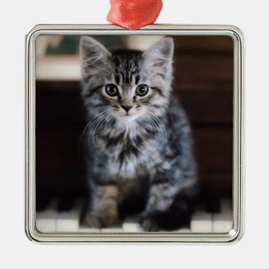 Niedliche Kleintiere | Kitten on Piano Keys Ornament Aus Metall (Vorne)