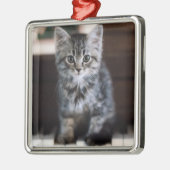 Niedliche Kleintiere | Kitten on Piano Keys Ornament Aus Metall (Links)
