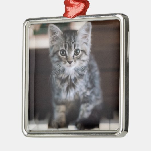 Niedliche Kleintiere | Kitten on Piano Keys Ornament Aus Metall (Links)