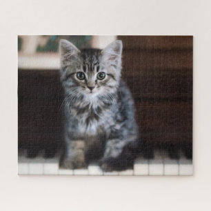 Niedliche Kleintiere   Kitten on Piano Keys Puzzle