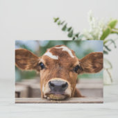 Niedliche Kleintiere | Kleiner Kuhkalb Dankeskarte (Stehend Vorderseite)