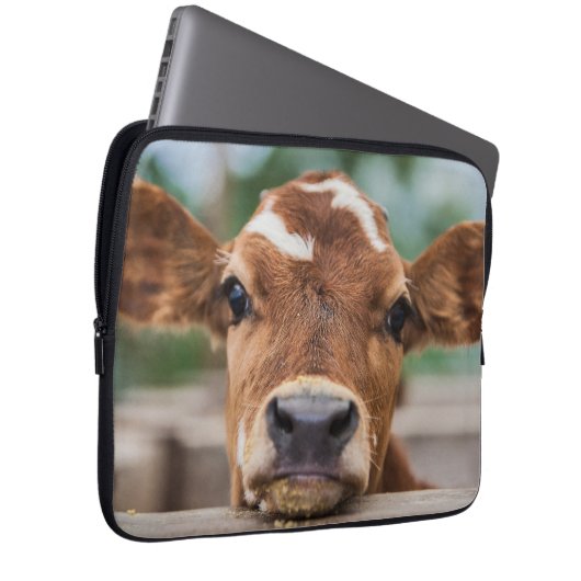 Niedliche Kleintiere | Kleiner Kuhkalb Laptopschutzhülle (Vorne Rechts)