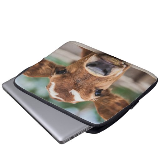Niedliche Kleintiere | Kleiner Kuhkalb Laptopschutzhülle (Vorne Knopf)