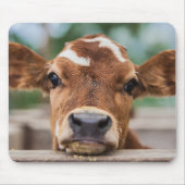 Niedliche Kleintiere | Kleiner Kuhkalb Mousepad (Vorne)
