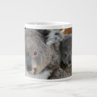Niedliche Kleintiere | Koala und Joey