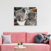 Niedliche Kleintiere | Koala und Joey Leinwanddruck (Insitu (Wohnzimmer))