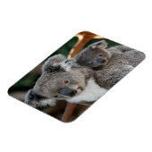 Niedliche Kleintiere | Koala und Joey Magnet (Linke Seite)