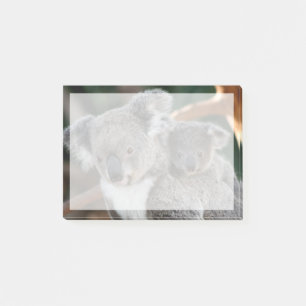 Niedliche Kleintiere   Koala und Joey Post-it Klebezettel