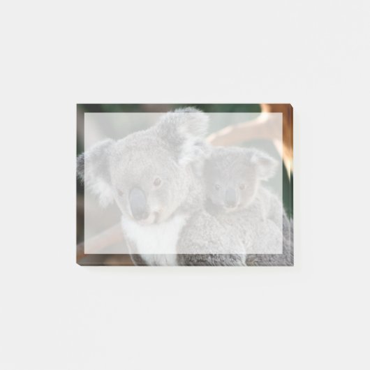 Niedliche Kleintiere | Koala und Joey Post-it Klebezettel (Vorderseite)