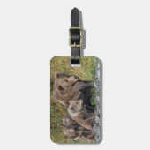 Niedliche Kleintiere | Kodiak Mama Bear & Cubs Gepäckanhänger (Vorderseite vertikal)