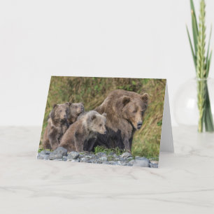 Niedliche Kleintiere Kodiak Mama Bear & Cubs Karte