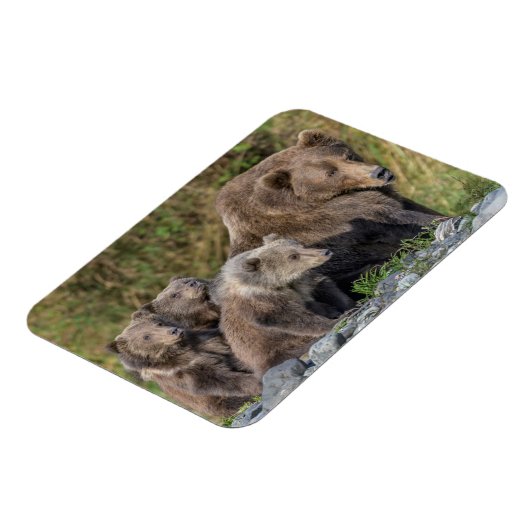 Niedliche Kleintiere | Kodiak Mama Bear & Cubs Magnet (Linke Seite)