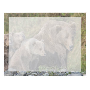 Niedliche Kleintiere   Kodiak Mama Bear & Cubs Notizblock