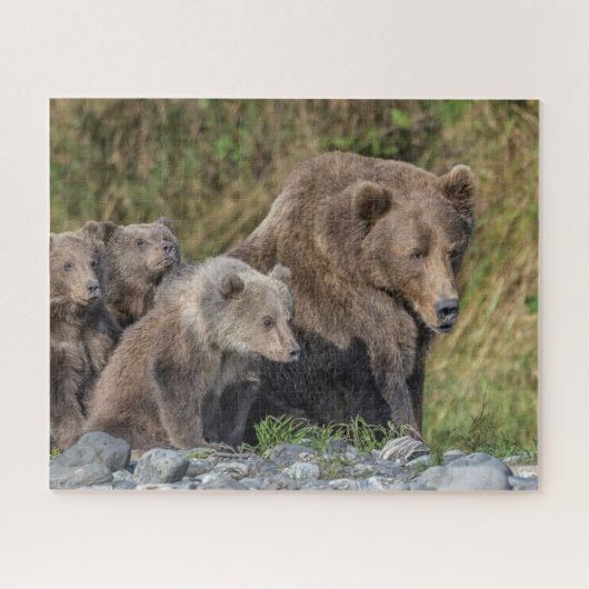 Niedliche Kleintiere | Kodiak Mama Bear & Cubs Puzzle (Horizontal)