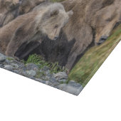 Niedliche Kleintiere | Kodiak Mama Bear & Cubs Schneidebrett (Ecke)