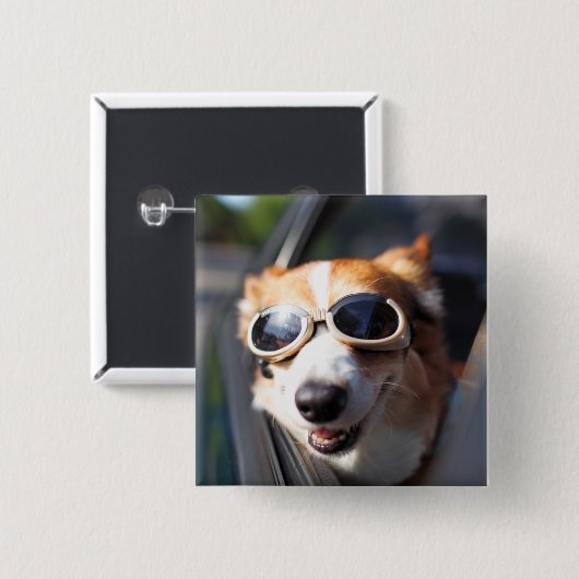 Niedliche Kleintiere | Korgi-Brille im Auto Button (Vorne & Hinten)