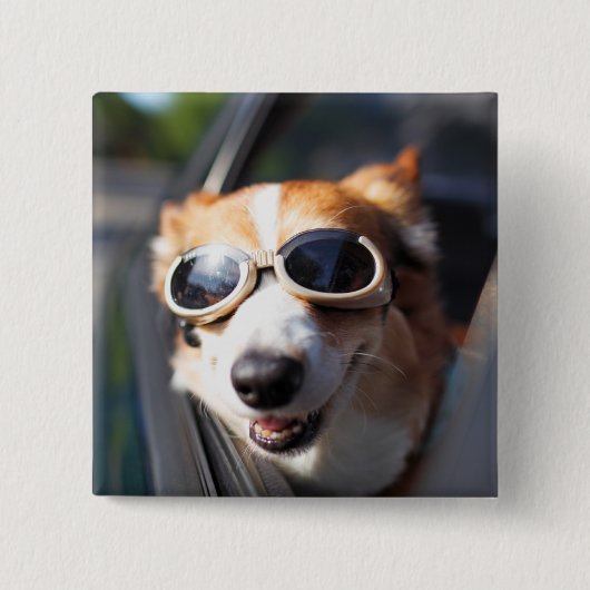 Niedliche Kleintiere | Korgi-Brille im Auto Button (Vorderseite)