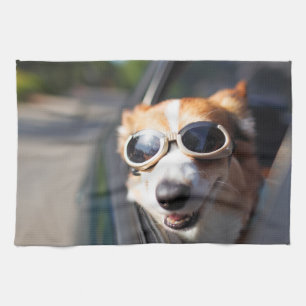 Niedliche Kleintiere   Korgi-Brille im Auto Geschirrtuch