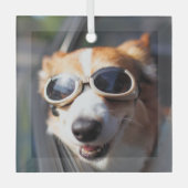 Niedliche Kleintiere | Korgi-Brille im Auto Ornament Aus Glas (Vorderseite)