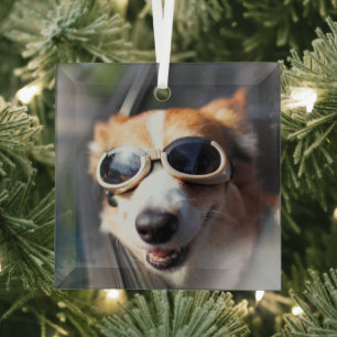 Niedliche Kleintiere   Korgi-Brille im Auto Ornament Aus Glas