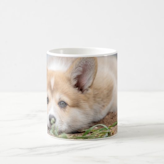 Niedliche Kleintiere | Korgi Lay in der Werft Kaffeetasse (Mittel)