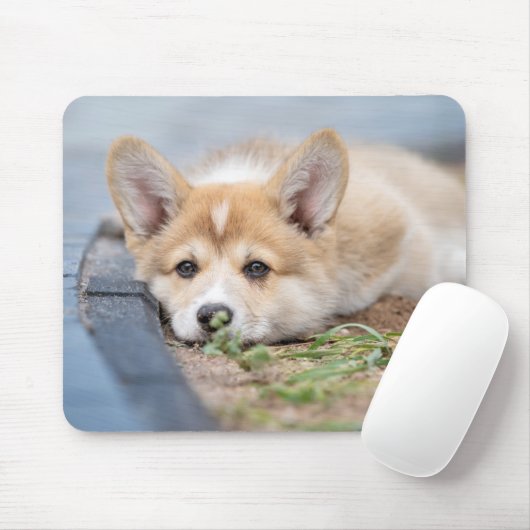 Niedliche Kleintiere | Korgi Lay in der Werft Mousepad (Mit Mouse)
