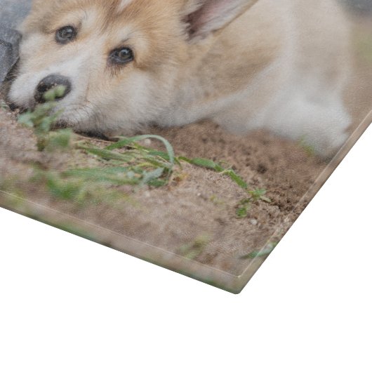 Niedliche Kleintiere | Korgi Lay in der Werft Schneidebrett (Ecke)