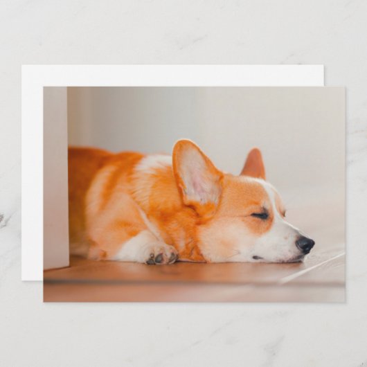 Niedliche Kleintiere | Korgi Schlafen Dankeskarte (Vorne/Hinten)