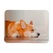 Niedliche Kleintiere | Korgi Schlafen Magnet (Horizontal)