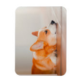 Niedliche Kleintiere | Korgi Schlafen Magnet (Vertikal)