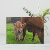 Niedliche Kleintiere | Kuh und Kalb Dankeskarte (Stehend Vorderseite)