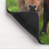 Niedliche Kleintiere | Kuh und Kalb Mousepad (Ecke)