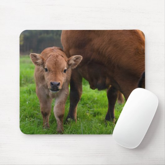 Niedliche Kleintiere | Kuh und Kalb Mousepad (Mit Mouse)