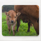 Niedliche Kleintiere | Kuh und Kalb Mousepad (Vorne)