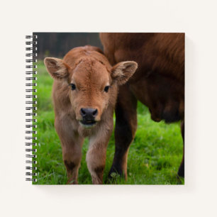 Niedliche Kleintiere Kuh und Kalb Notizblock