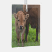 Niedliche Kleintiere | Kuh und Kalb Ornament Aus Glas (Vorderseite Rechts)